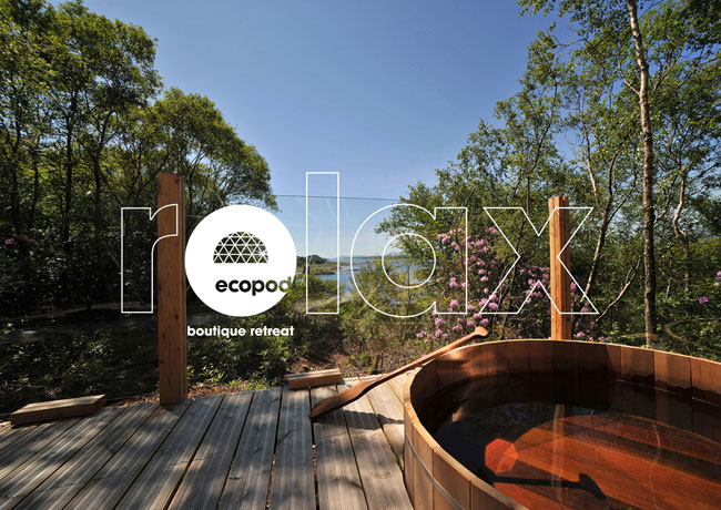 Ecopod logo