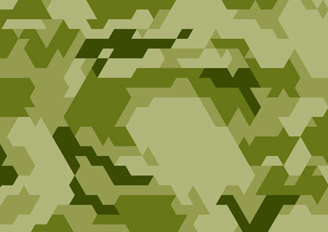 Ecopod camo pattern
