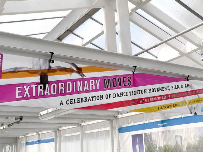 Extraordinary Moves brand identity