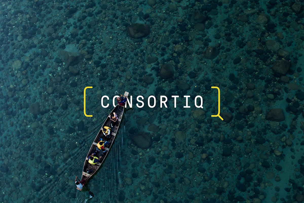 Consortiq identity